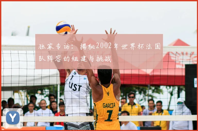 独家专访：揭秘2002年世界杯法国队阵容的组建与挑战