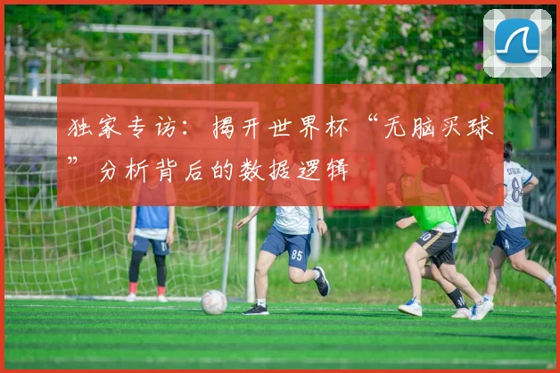 独家专访：揭开世界杯“无脑买球”分析背后的数据逻辑