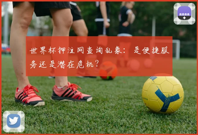 世界杯押注网查询乱象：是便捷服务还是潜在危机？