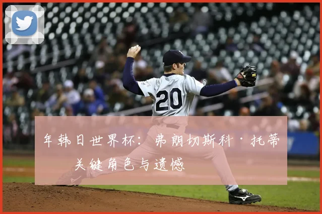年韩日世界杯:弗朗切斯科·托蒂的关键角色与遗憾