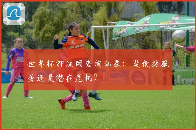 世界杯押注网查询乱象：是便捷服务还是潜在危机？