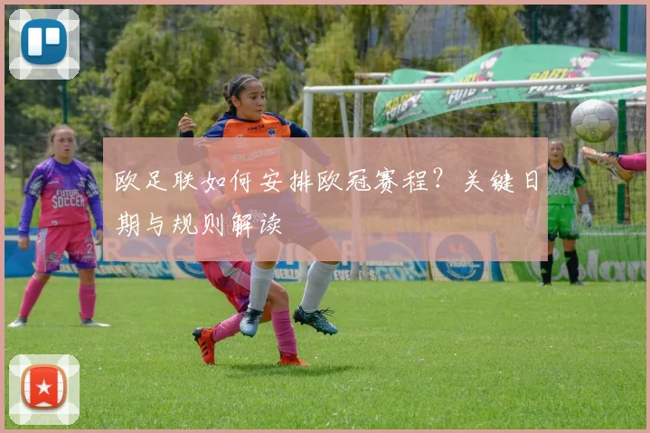 欧足联如何安排欧冠赛程？关键日期与规则解读