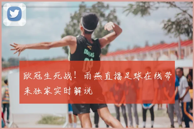 欧冠生死战！雨燕直播足球在线带来独家实时解说