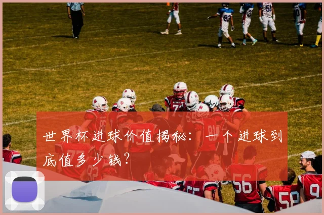 世界杯进球价值揭秘：一个进球到底值多少钱？