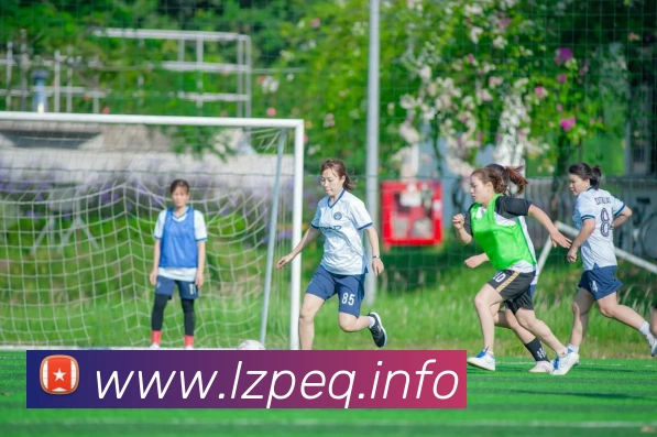 App Interface Preview